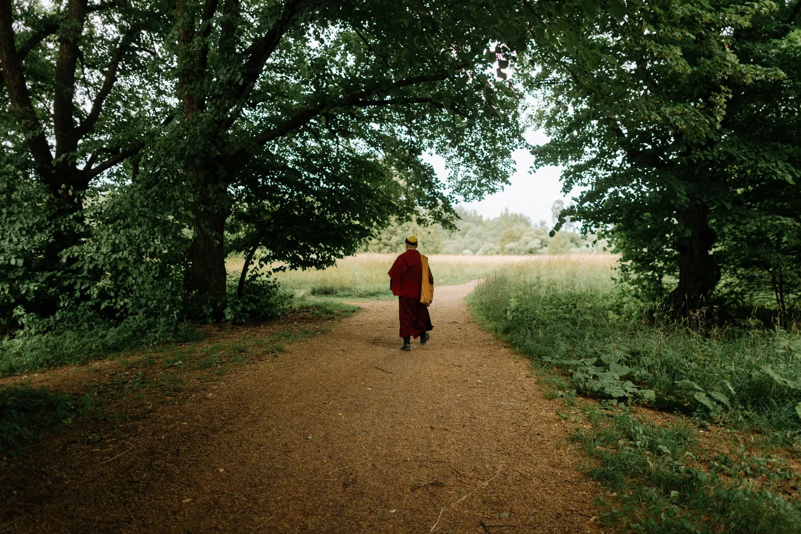 Walking your way stronger: 6 trends shaping 2026 steps