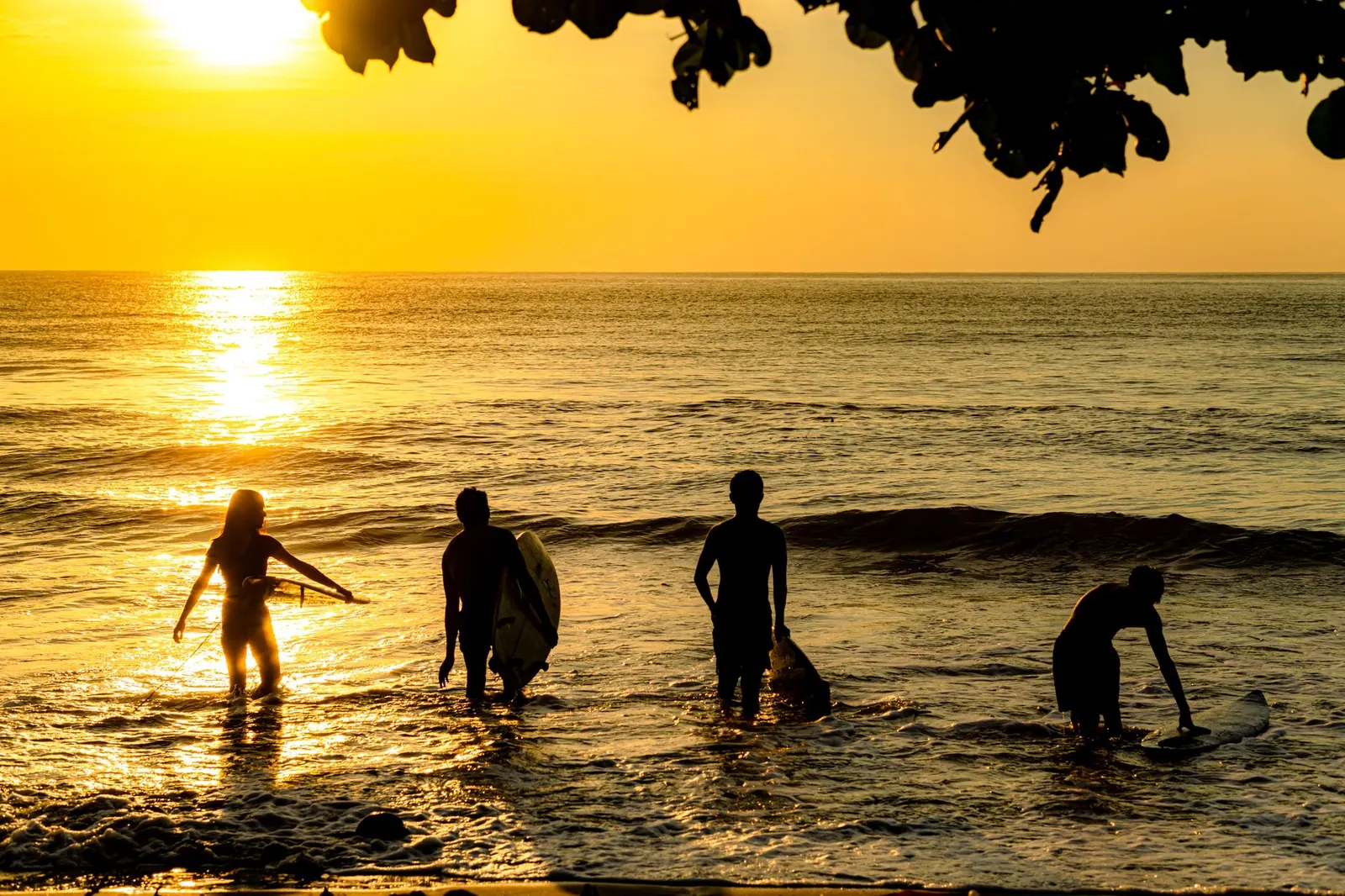 Your Yoga Sequence Builder Awaits — Catch the Wave Before It Fills
